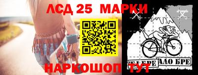индика Рыбинск