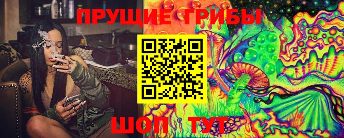 Псилоцибиновые грибы Cubensis Обь